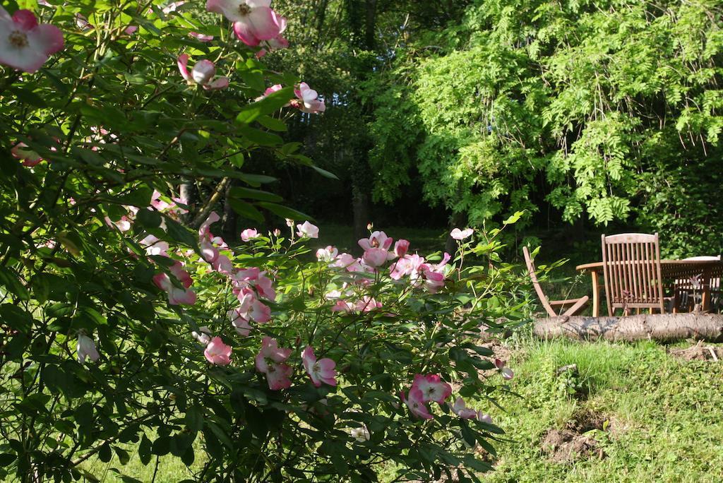 Le Coin Des Artistes Bed & Breakfast จีแวร์นี ภายนอก รูปภาพ